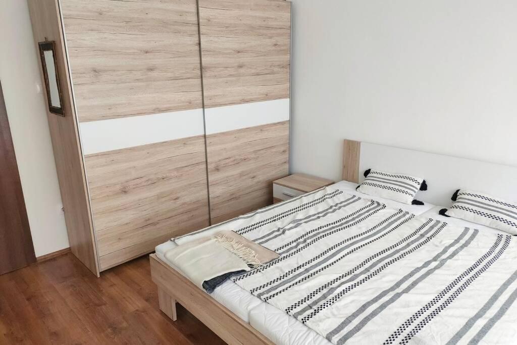 Plaza Apartman - City Center, Free Parking, Free Wifi 德布勒森 外观 照片