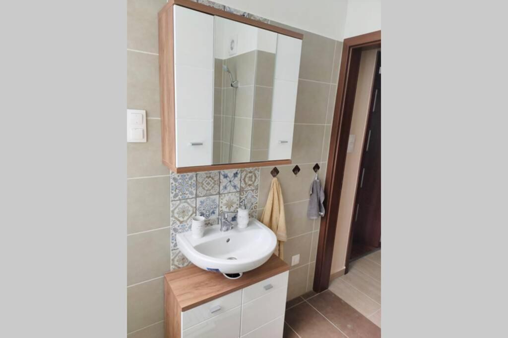 Plaza Apartman - City Center, Free Parking, Free Wifi 德布勒森 外观 照片